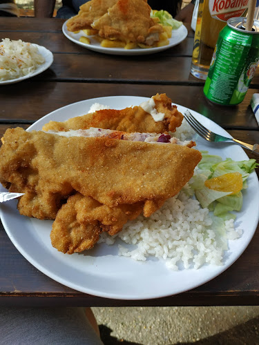 Bárka Pizza - Vendéglátás