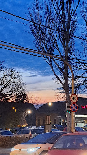 Royal Söröző - Budakeszi