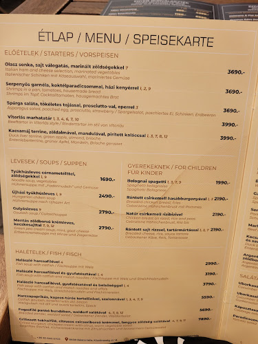 Comentarii opinii despre Vitorlás Étterem