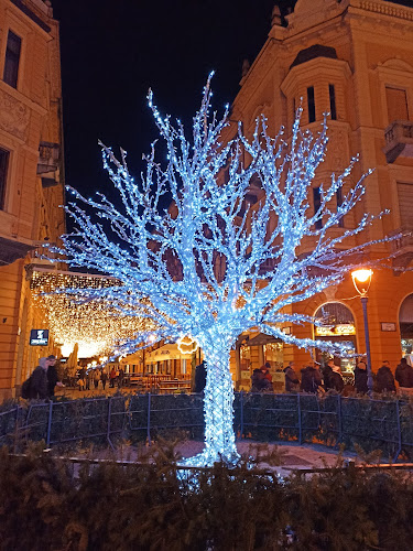 Pomodoro Pizza - Vendéglátás