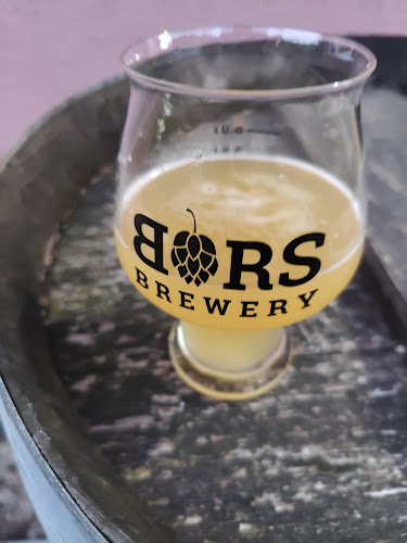 Comentarii opinii despre BORS CRAFT SÖRFŐZDE