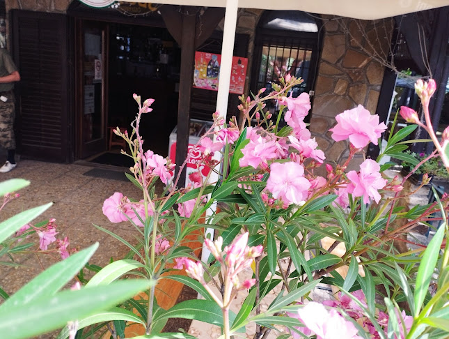 Szeged, Déryné u. 2, 6726