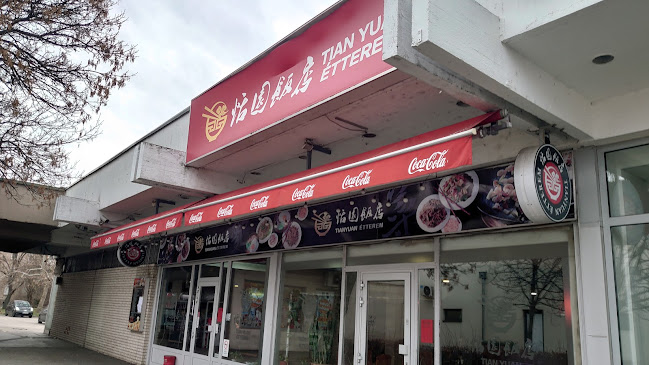 Opinii despre Tian Yuan Étterem în Budapest - Vendéglátás