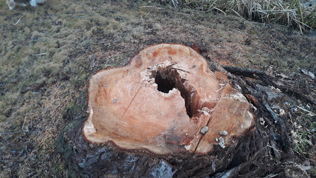 Balatonmáriafürdő, 8647