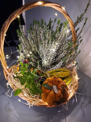 Kicsidió Rendezvénykert