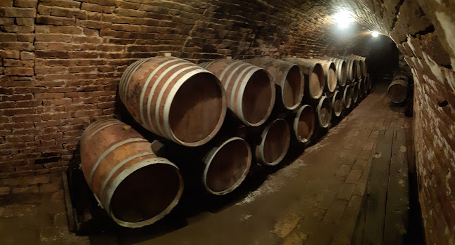 Dúzsi Tamás Pincéje - Vendéglátás