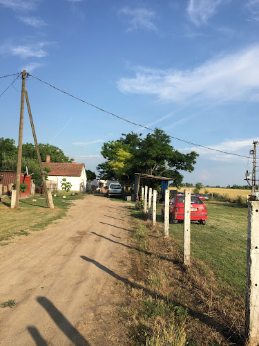 Opinii despre Nagy Kft. în Kecskemét - Vendéglátás