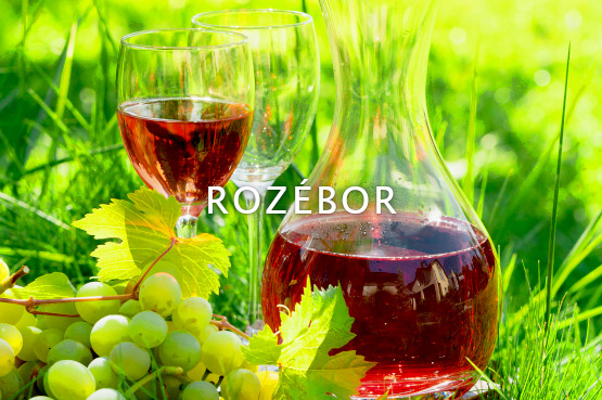 Érd, Festő 54, 2030