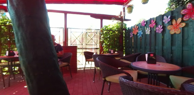 Aranytölcsér Fagylaltkert és Kávézó - Vendéglátás