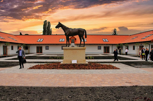 Opinii despre Kincsem Borozó în Göd - Vendéglátás