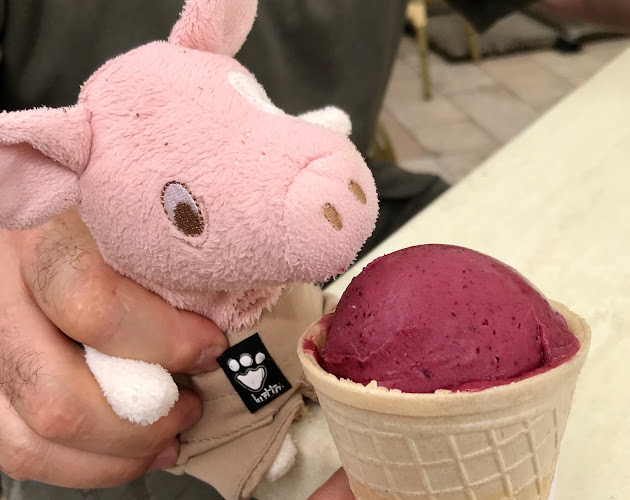 Tata, Sport u. 1, 2890