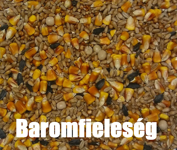 Opinii despre Mag-Mix în Albertirsa - Vendéglátás