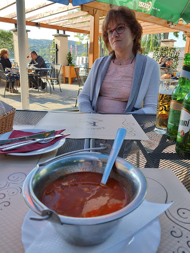 Comentarii opinii despre Kovács-Kert Étterem