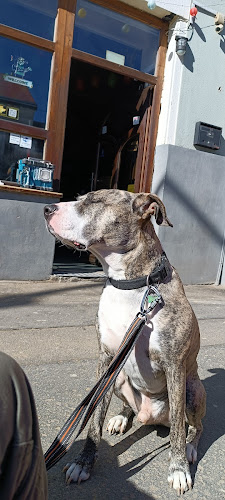 Svejk Söröző - Vendéglátás