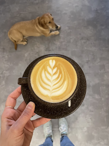 Modam Specialty Coffee & Store