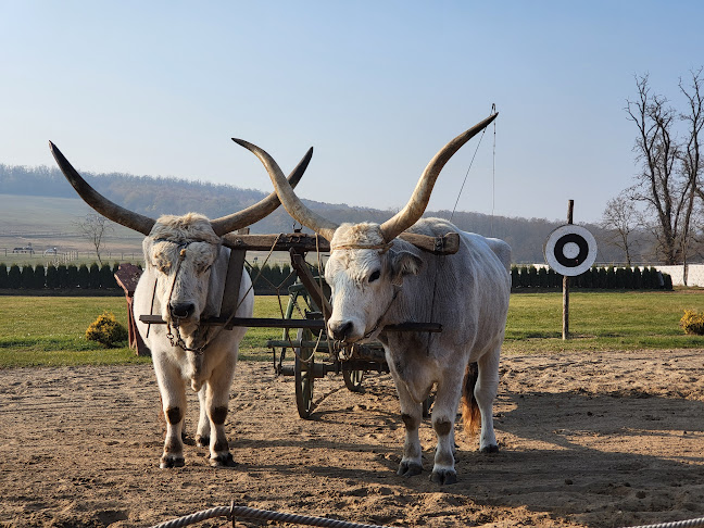 Comentarii opinii despre Lázár Lovaspark