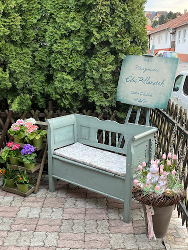 Csillám Torta Cuki - Alkalmi, Esküvői torta, Emeletes, Rusztikus, Keresztelő