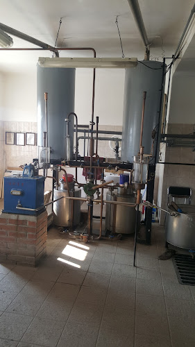 Opinii despre Szeszfőzde Hajdúszoboszlói Búzakalász Agrár ZRt. în Hajdúszoboszló - Vendéglátás