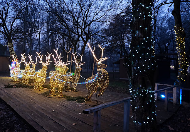 Comentarii opinii despre Sörkert