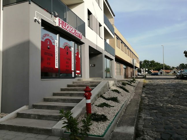 LIQUOR CITY Italüzlet