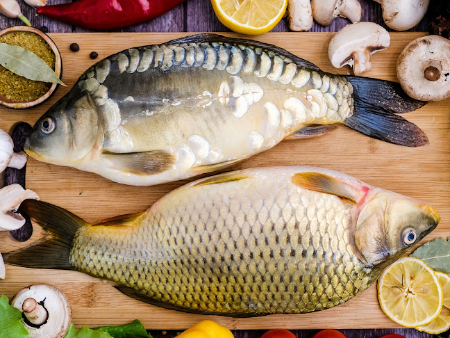 Comentarii opinii despre Ko-Di Bt.