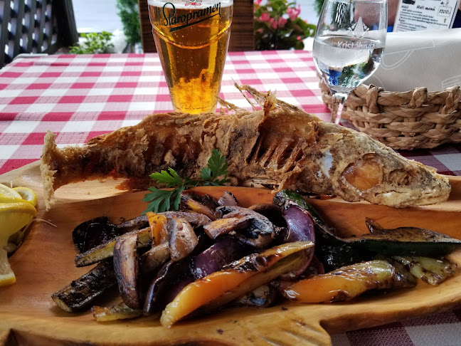 Tiszaújváros, Szederkényi út 4, 3580