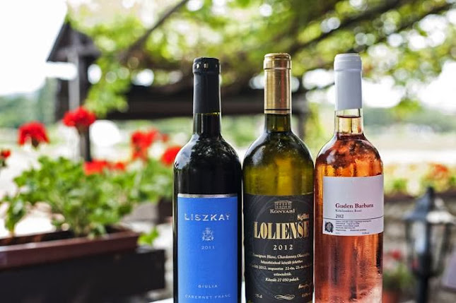 Comentarii opinii despre Baricska Csárda