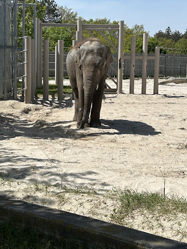 Pizza Pasta - Vendéglátás