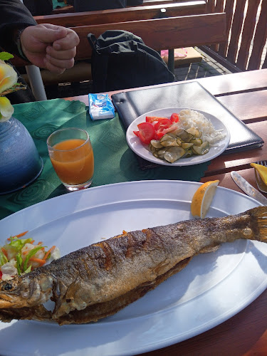 Comentarii opinii despre Fenyő Vendéglő