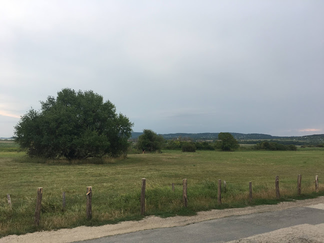 Opinii despre Apáti Étterem, Kávézó în Tihany - Vendéglátás