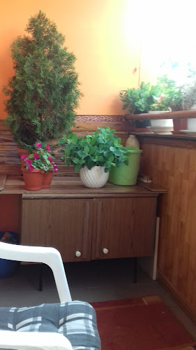 Comentarii opinii despre Vadász Kis Korcsma