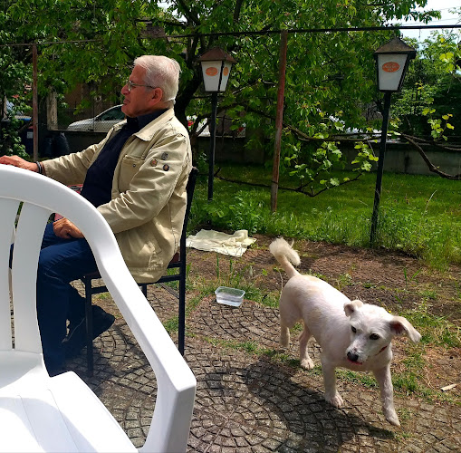 Opinii despre Karaván söröző în Budapest - Vendéglátás