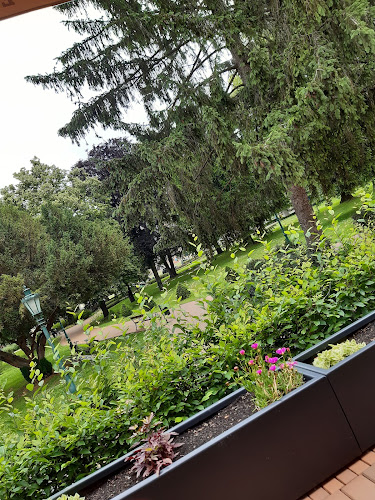 Comentarii opinii despre Kastély Kávézó