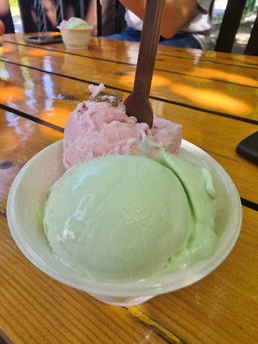 Opinii despre Oázis Fagyizó în Lakitelek - Vendéglátás