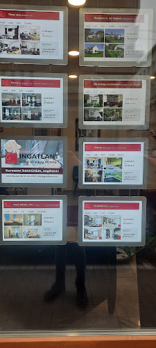 Early Bird Coffee - Speciality coffee - Vendéglátás