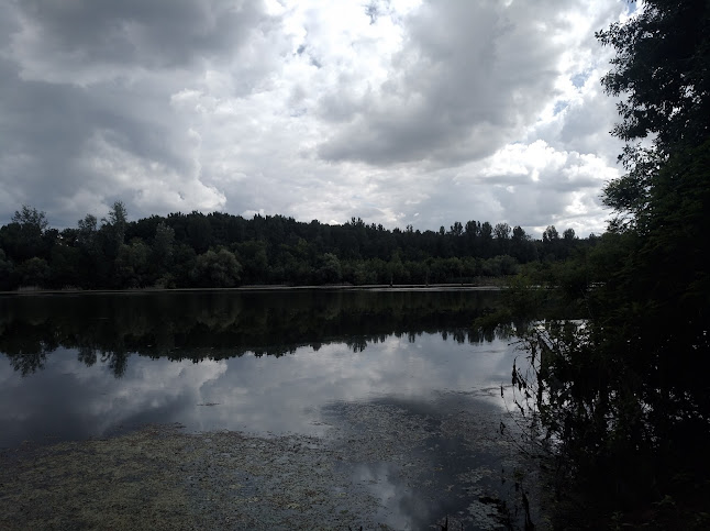 Opinii despre Szegfű csárda (régi idők emléke) în Mindszent - Vendéglátás
