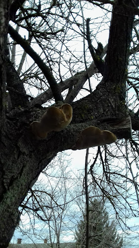 Opinii despre Dolce Vita és Gyros bár în Vámospércs - Vendéglátás