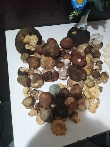 Jószerencsét Falatozó