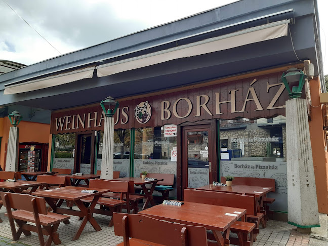Opinii despre Borház és Pizzaház în Balatonfüred - Vendéglátás