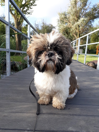 Pannika büfé - Vendéglátás