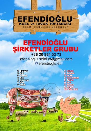 Opinii despre EFENDİOGLU în Budapest - Vendéglátás