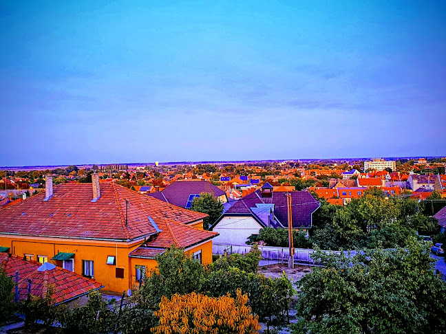 Opinii despre Dúzsi Tamás Pincéje în Szekszárd - Vendéglátás