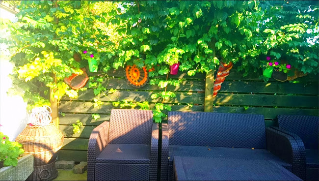 Teknőc fagyizó - Vendéglátás