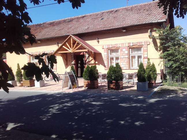 Stella söröző - Vendéglátás