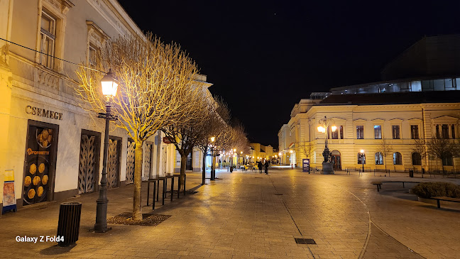 Székesfehérvár, Mátyás király krt. 23, 8000