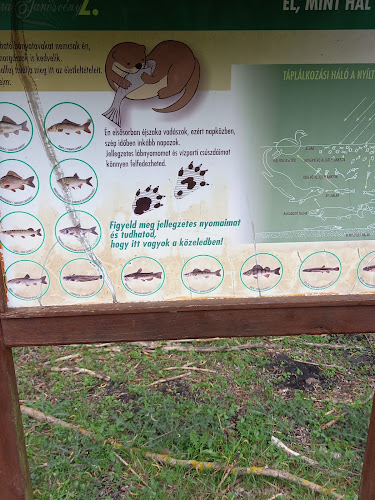 Opinii despre Natura Halászcsárda în Kecel - Vendéglátás