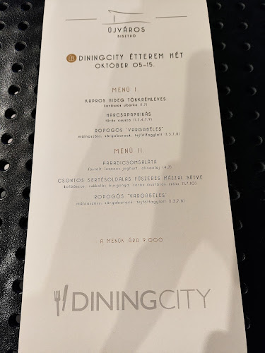 Comentarii opinii despre Újváros Bisztró - innovatív kortárs magyar étterem