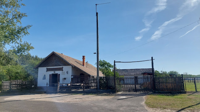 Comentarii opinii despre Kutyakaparó Csárda