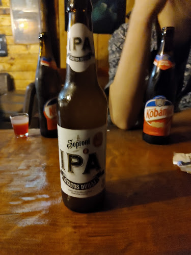 Fácánkakas - Debrecen