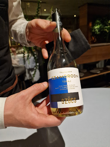 Comentarii opinii despre Babel Budapest Restaurant